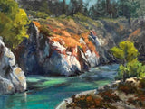 "Point Lobos Cove" by Bill Davidson
