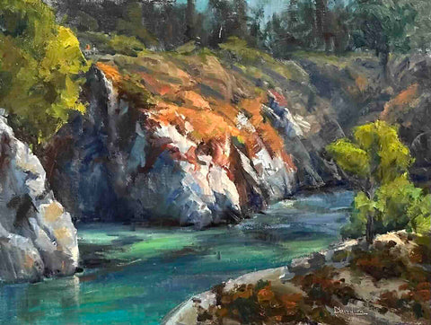 "Point Lobos Cove" by Bill Davidson