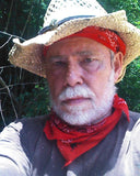 "Red Sales in the Sunset" by James H. Stephens