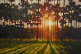 Move Beyond the Photograph with Steven Walker