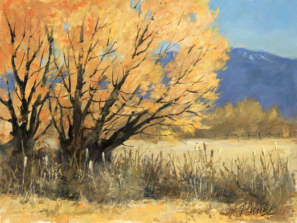 "Spring Willows" by Peggy Immel