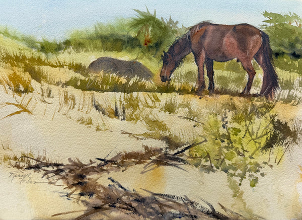 "Shaggy Horses on Cumberland" by Kathy Rennell Forbes