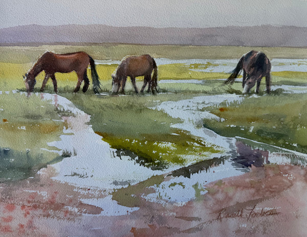 "Feral Horses on Cumberland" by Kathy Rennell Forbes