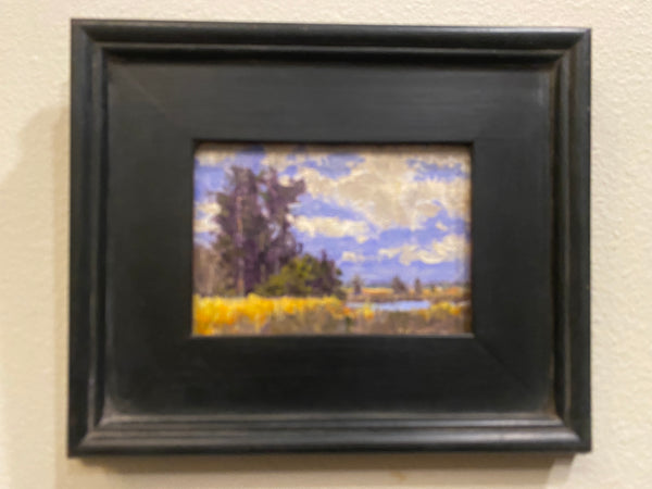 "Country Side of the Marsh" by Michael Mills