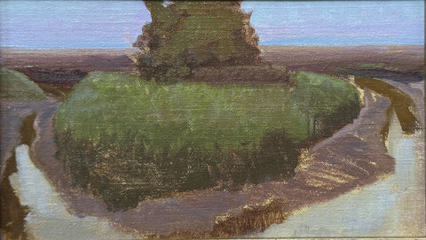 "Skidaway Island Dusk" by Seth Tummins