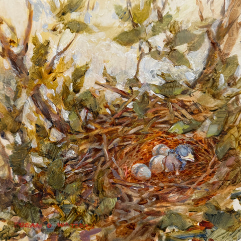 "Hatchling" by Susan D. Waters