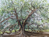 "The Majestic Oak" by Kathy Rennell Forbes