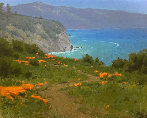 "Big Sur Poppies" by Mason Cole Williams
