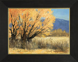 "Spring Willows" by Peggy Immel