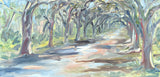 "Wormsloe Live Oaks" by Nancy Livengood
