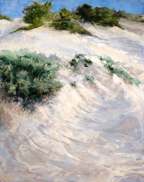 "Aruba Sand Dunes" by Don Yaun