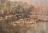 "Coosa River Shoals" by Craig Reynolds