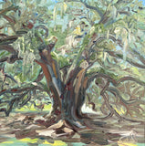 "Majestic Oak" by Nancy Livengood