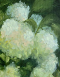 "Hydrangea Blooms" by Charlie DeRuiter