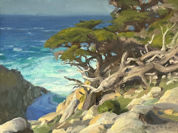 "Point Lobos Cliffside" by Trijsten Leach